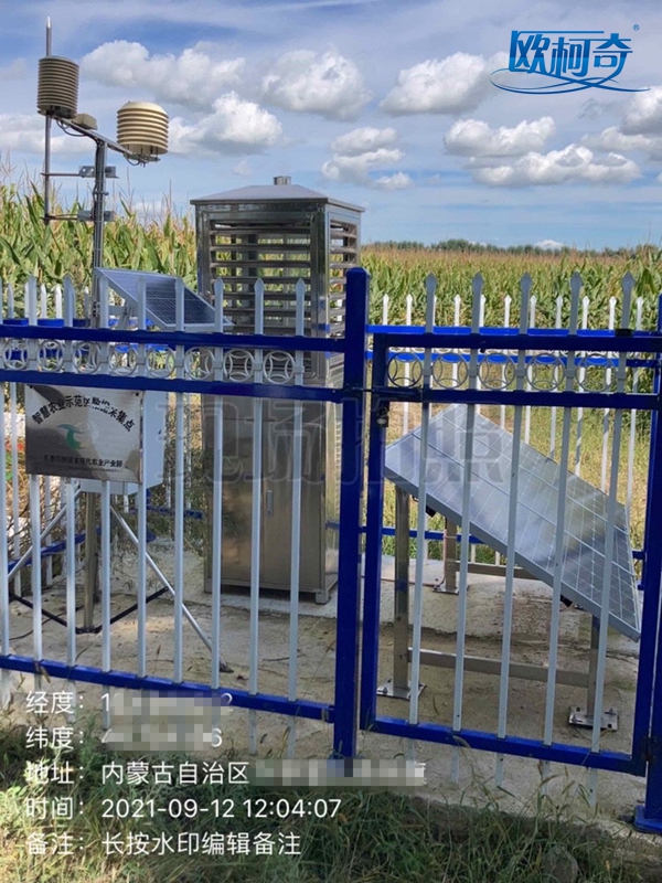 1632363674736242.jpg 欧柯奇2_副本.jpg