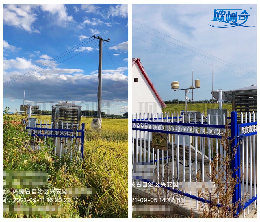 1632363625878640.jpg 欧柯奇3_副本.jpg