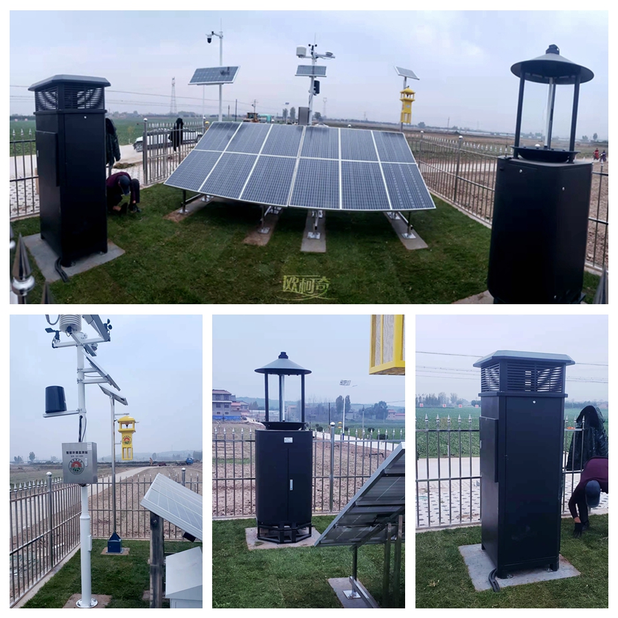 1635997257363682.jpg 拼图.jpg