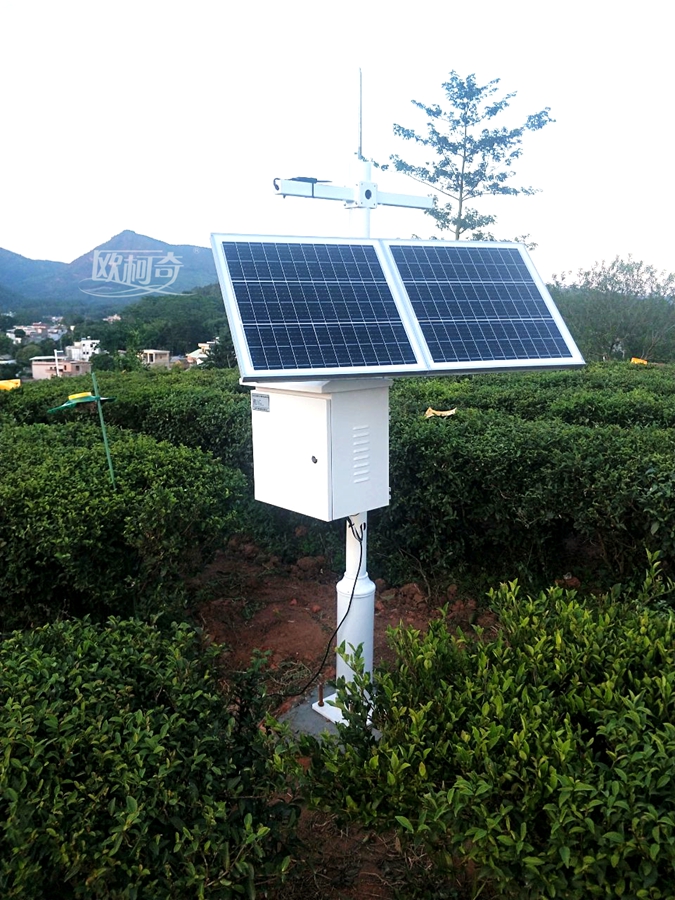 1638429332937451.jpg 2.jpg