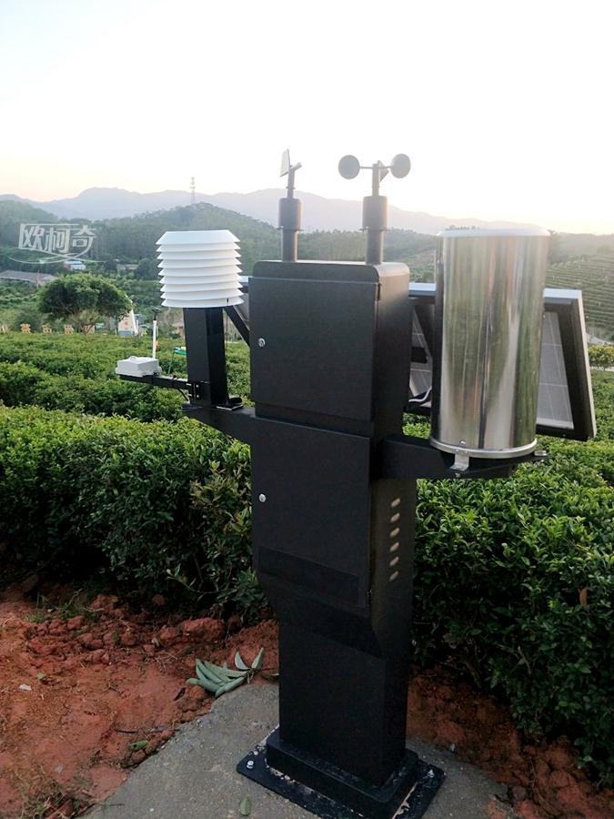 1638429320192526.jpg 3.jpg