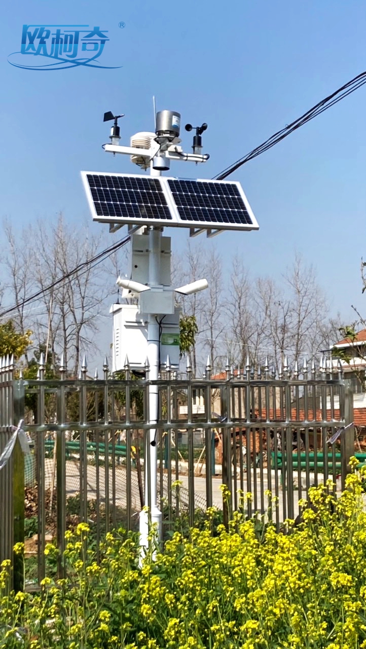 1648022804816872.jpg 2.jpg