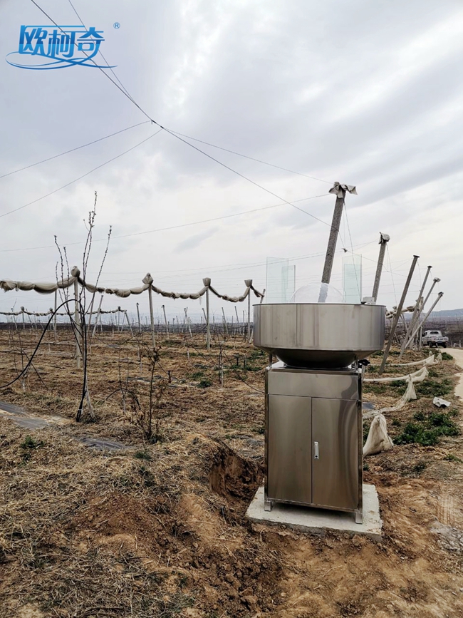 1649322608434307.jpg 22.jpg