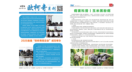 2024年第十二期《欧柯奇月刊》发行
